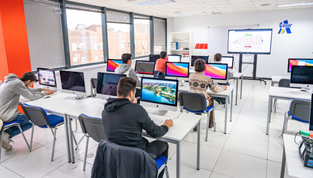 Cesur Formación DAM